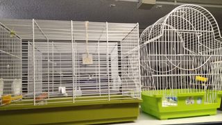 JAULAS PEQUEÑAS PARA PÁJAROS 