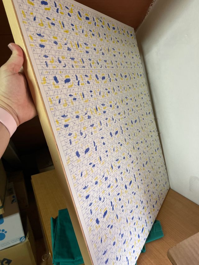 Cuadro grande flores