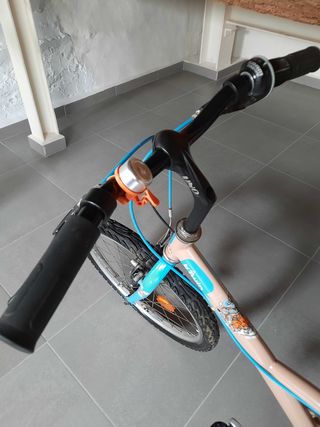 Mountain Bike 20" b' twin 