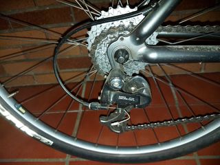bici Trek