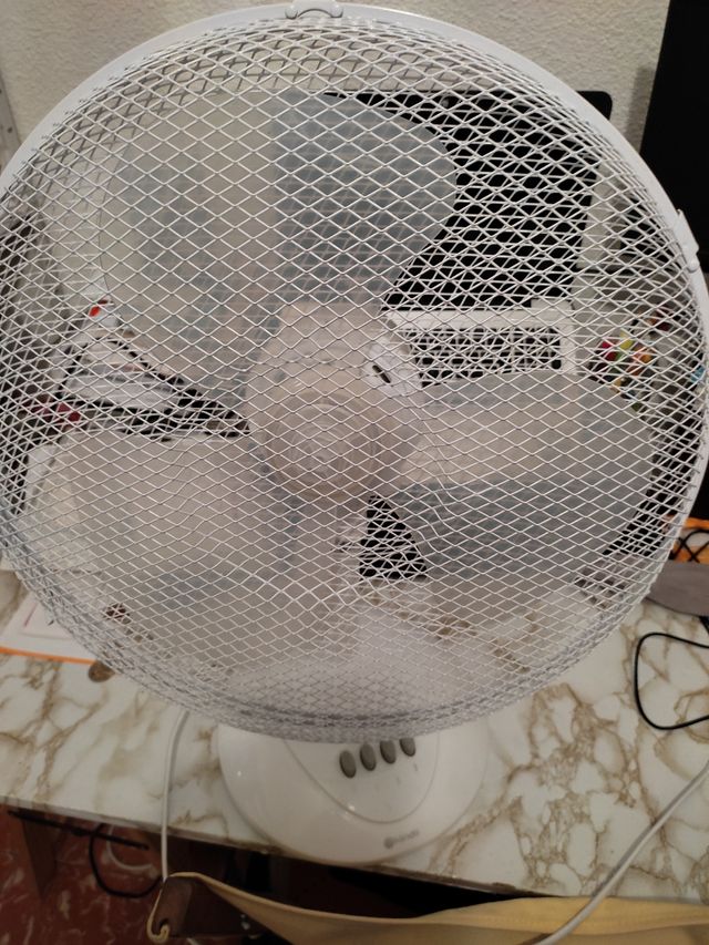 Ventilador de mesa.