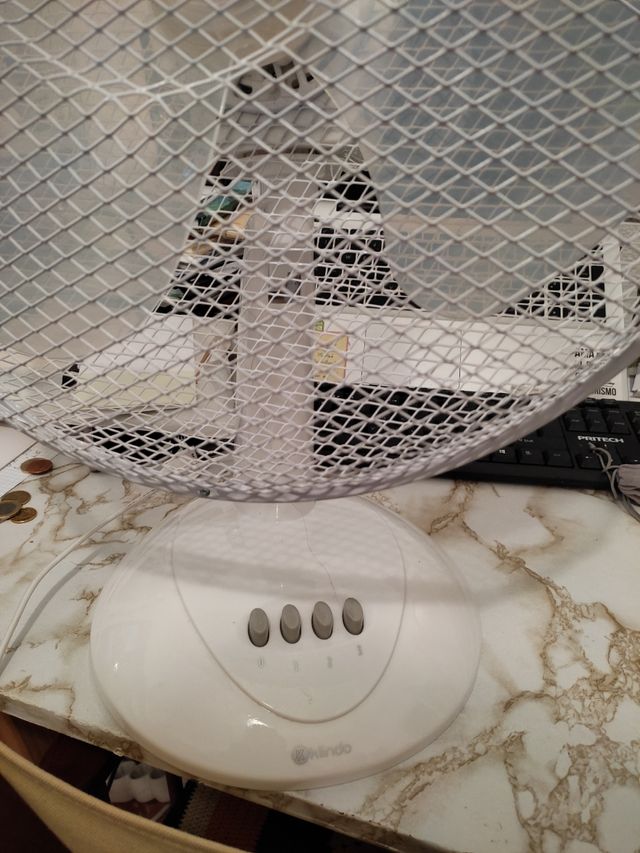 Ventilador de mesa.