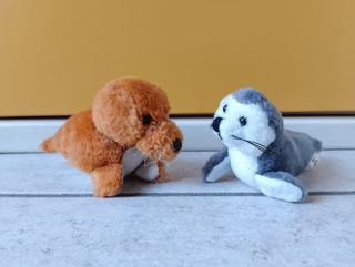 2 peluche foca tricheco 