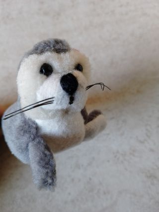 2 peluche foca tricheco 