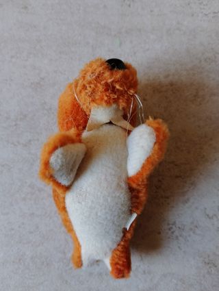 2 peluche foca tricheco 