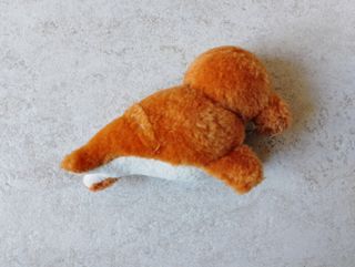 2 peluche foca tricheco 