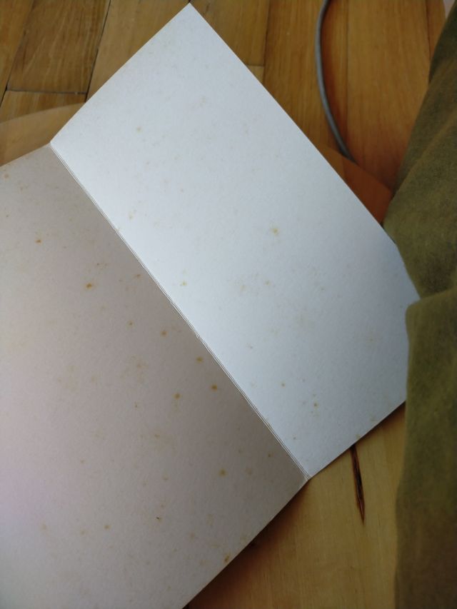 El libro de oro de saint germain