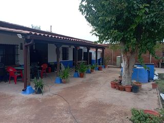 canalones estacio