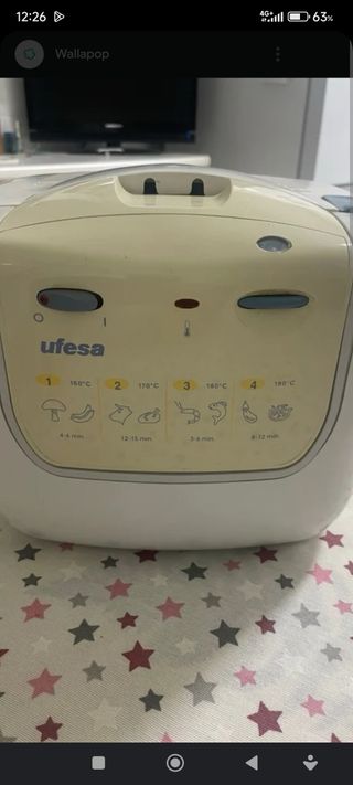 freidora ufesa 
