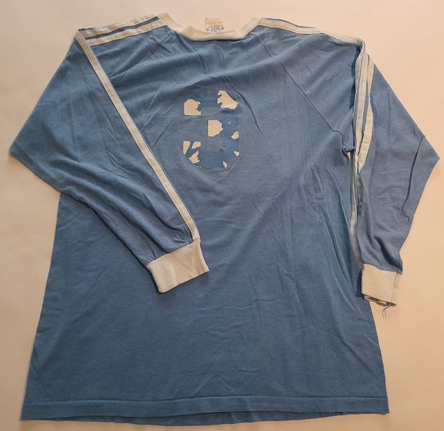 camiseta vintage NCAA Universidad Toledo Ohio