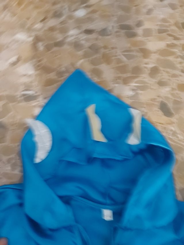 disfraz de noche con luna,