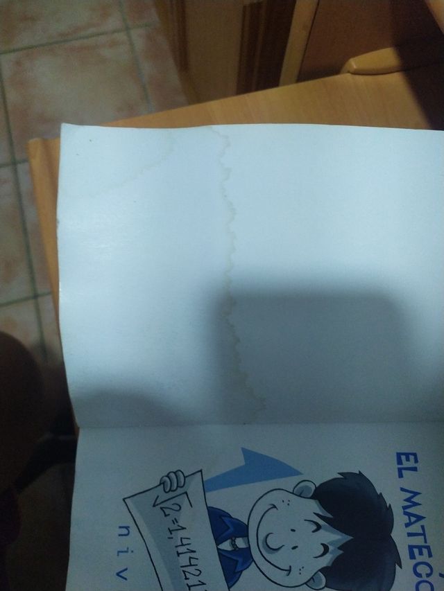 O Diariomático e o Concurso de Companheiras