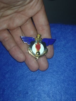 insignia Francia 