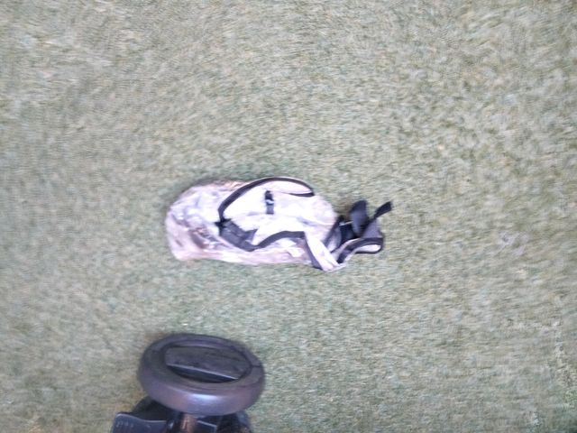 carro / silla de paseo