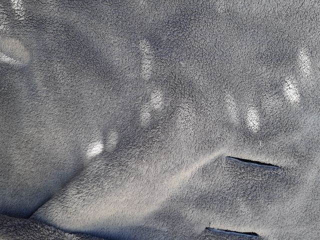 saco de silleta otoño/invierno