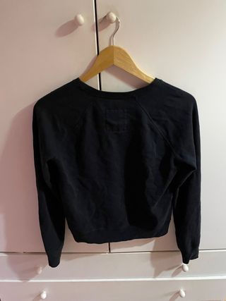 Sudadera Hollister 