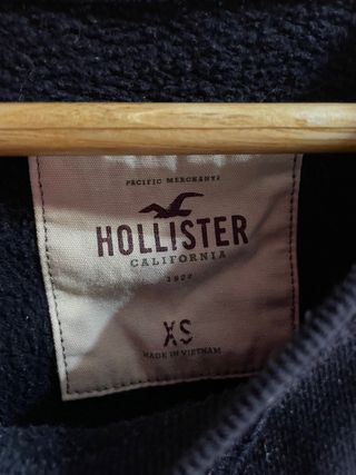 Sudadera Hollister 
