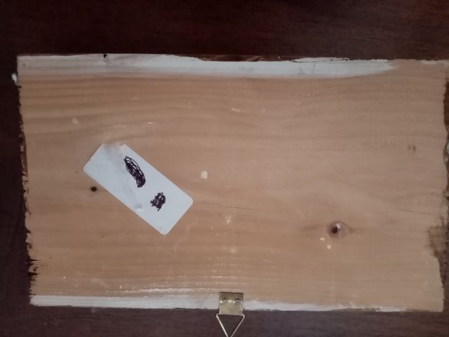 quadretto legno decoupage