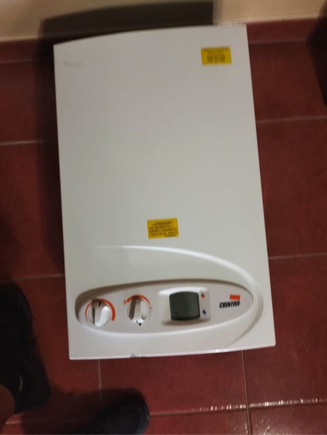 Calentador cointra