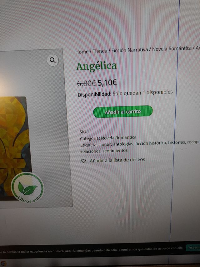 Angélica . Novela Romántica