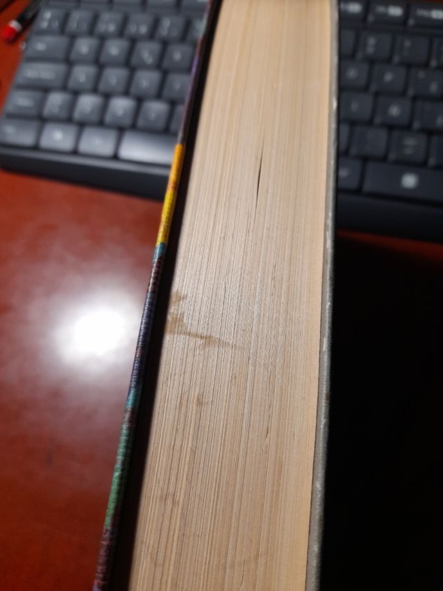 Angélica . Novela Romántica