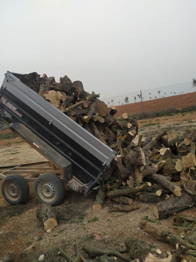 leña carrasco y oliva