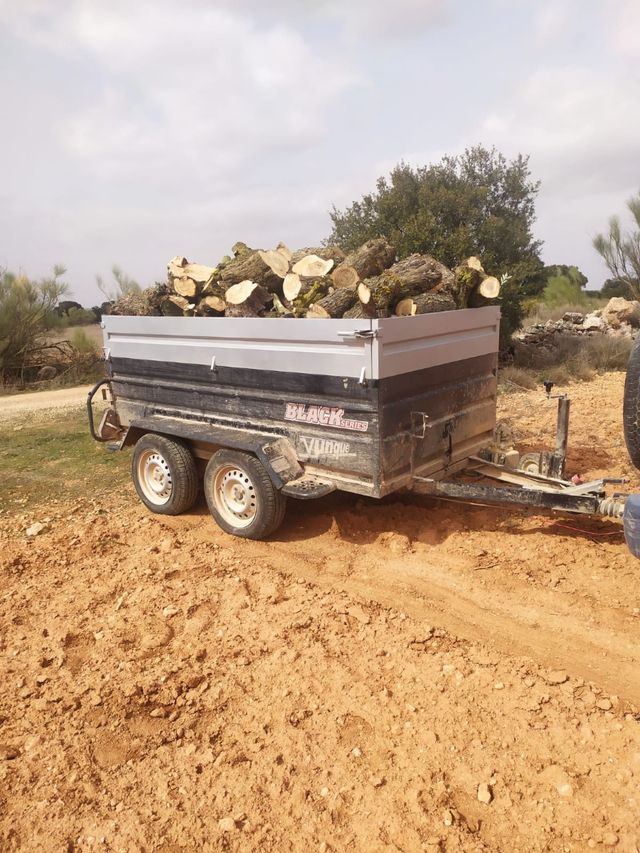 leña carrasco y oliva