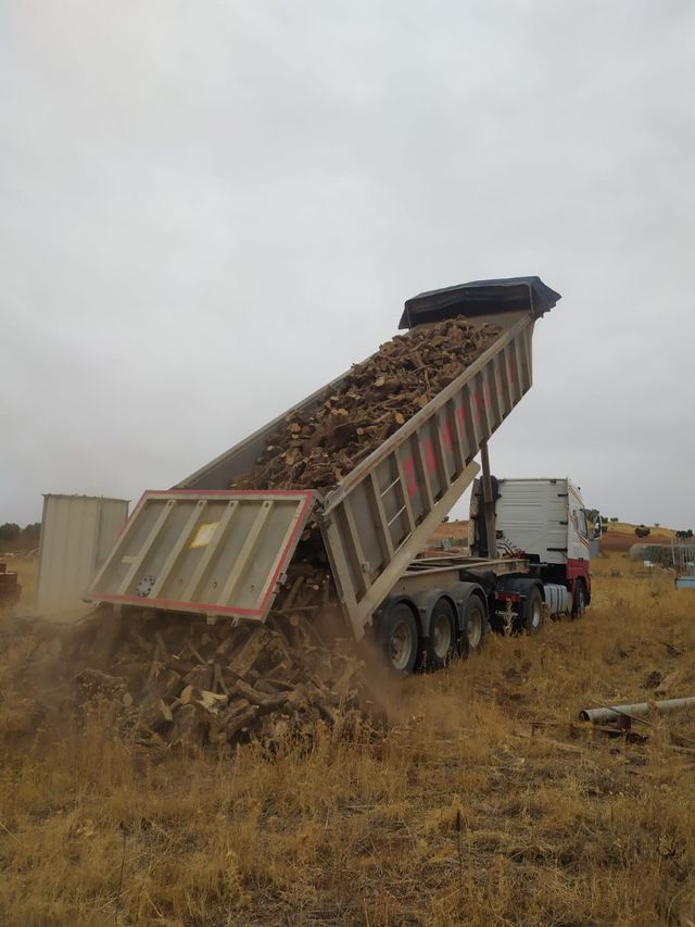 leña carrasco y oliva