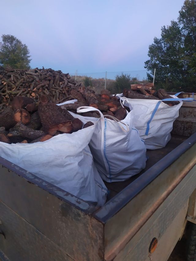 leña carrasco y oliva