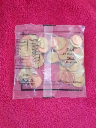 Monedero Euro