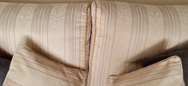 Sofá Cama Dos Plazas (  Clásico  )