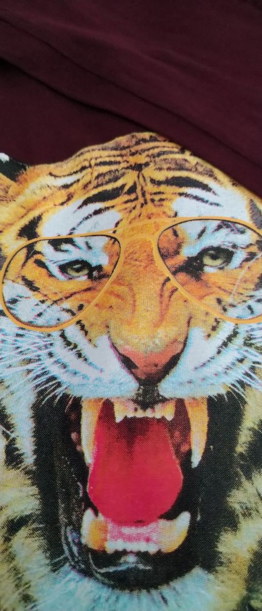 3 camisetas de manga larga del C&A