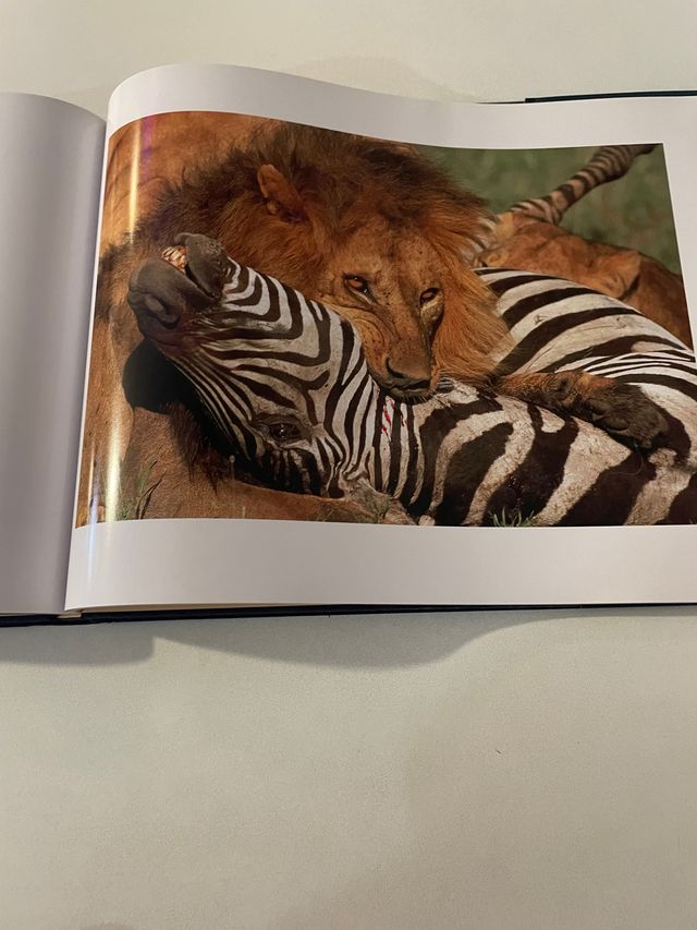 Libro CELEBRACIÓN A LA VIDA NUEVO