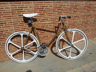 gazelle,fixie.