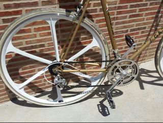 gazelle,fixie.