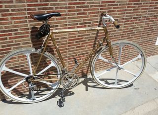 gazelle,fixie.
