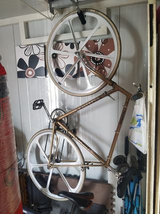 gazelle,fixie.