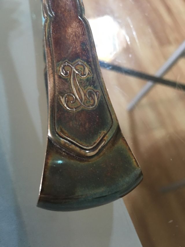 Pinzas  con baño de plata