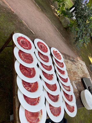 Cortador de jamón profesional 