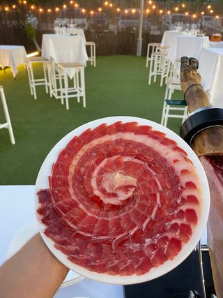 Cortador de jamón profesional 