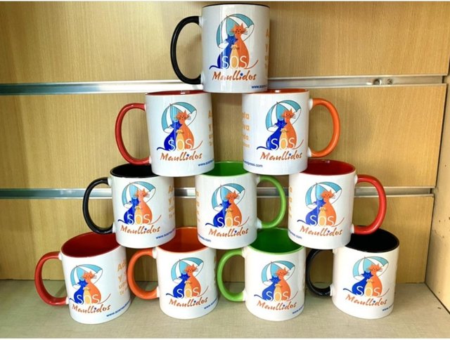 Taza porcelana