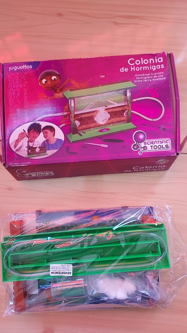 Juego colonia de hormigas