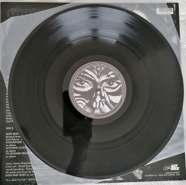 Erica Pomerance - You Used to think Lp.