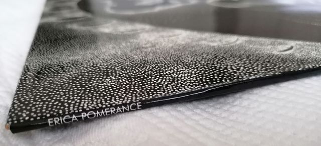 Erica Pomerance - You Used to think Lp.