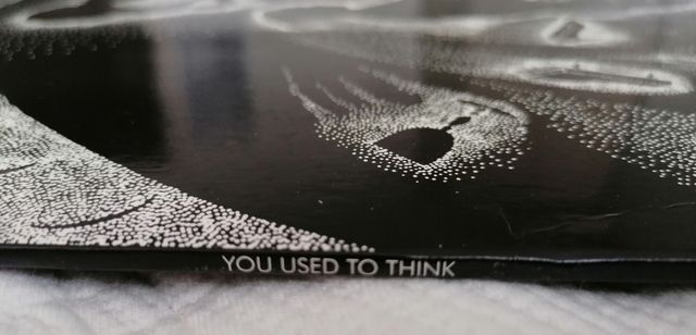 Erica Pomerance - You Used to think Lp.