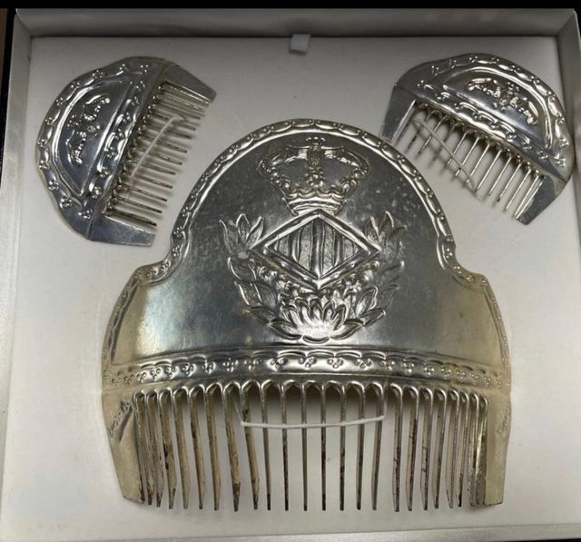 Vestido fallera y peinetas plata