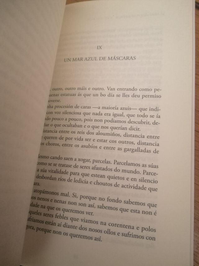 Diario dun mestre na pandemia