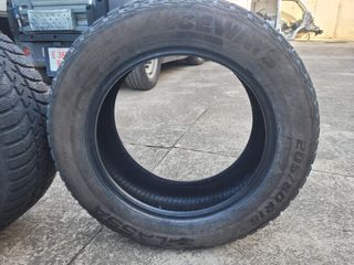 neumaticos  citroen C8