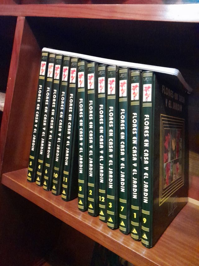 enciclopedia 12 libros