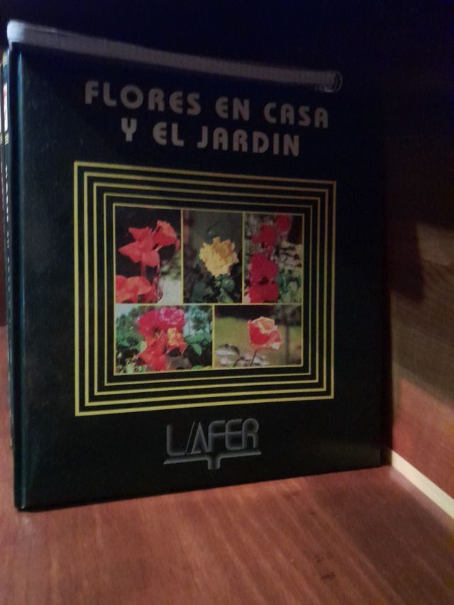 enciclopedia 12 libros